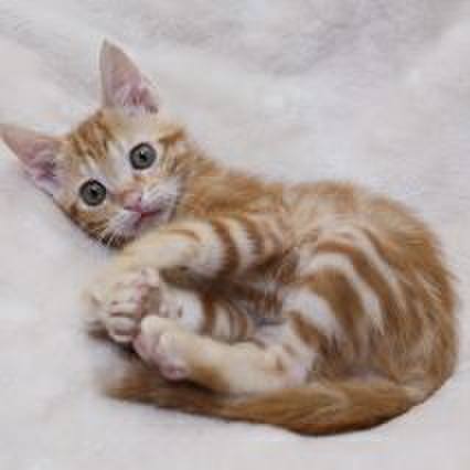 B6878594 eb65 4e75 8b97 c575e86cb874 1522418463633