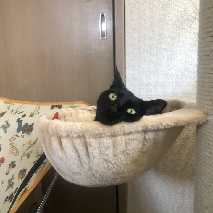 B6878b5e c891 4159 965a 72a40318ebe6 1616116988565