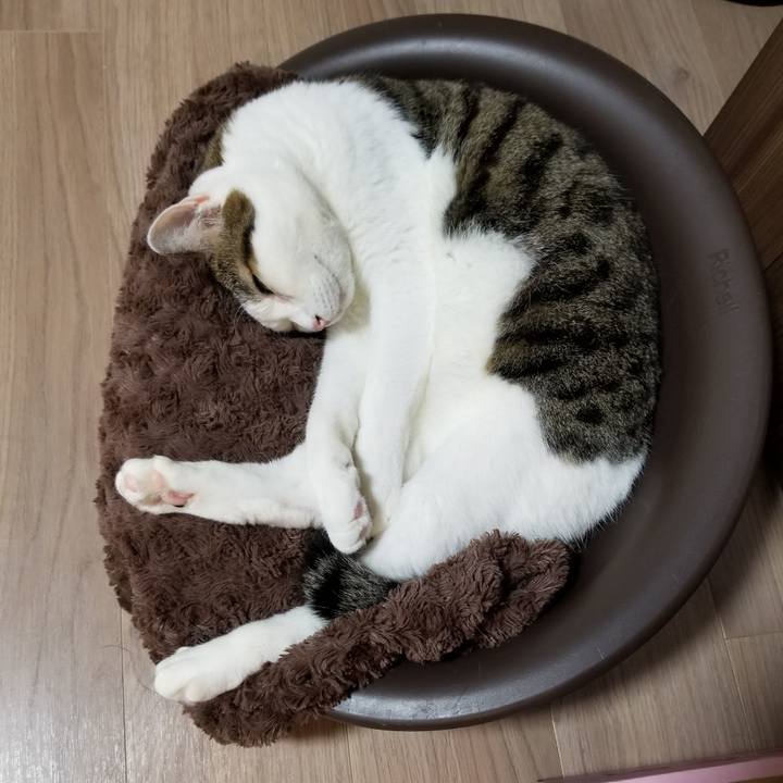 B687a1d8 bf83 42a4 9178 a85150f08804 1603316318255