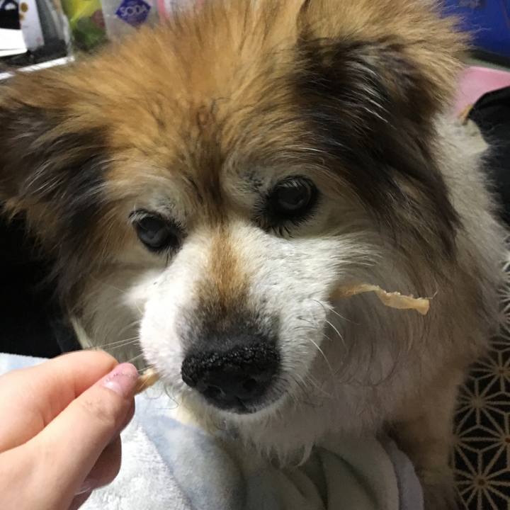 B687c568 1d8f 4c09 89ec 9da57738d56d 1591547203399