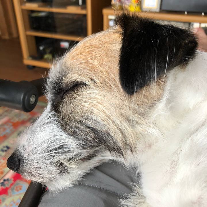 B687dd83 98d9 4e6b 8061 3bd3d9923ccd 1592283406521