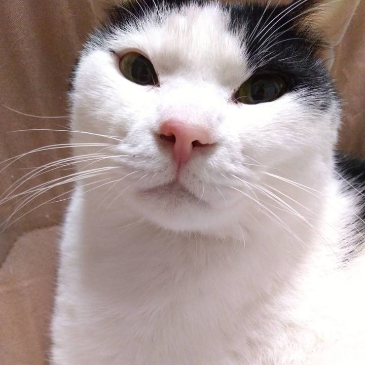 B687e2a5 eb2f 4b4b 8be4 8d15f4f1dd56 1517575106649