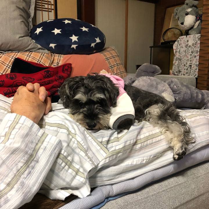 B687f65e ea0f 4bfb 88cc 91be4bc69b37 1635333511320