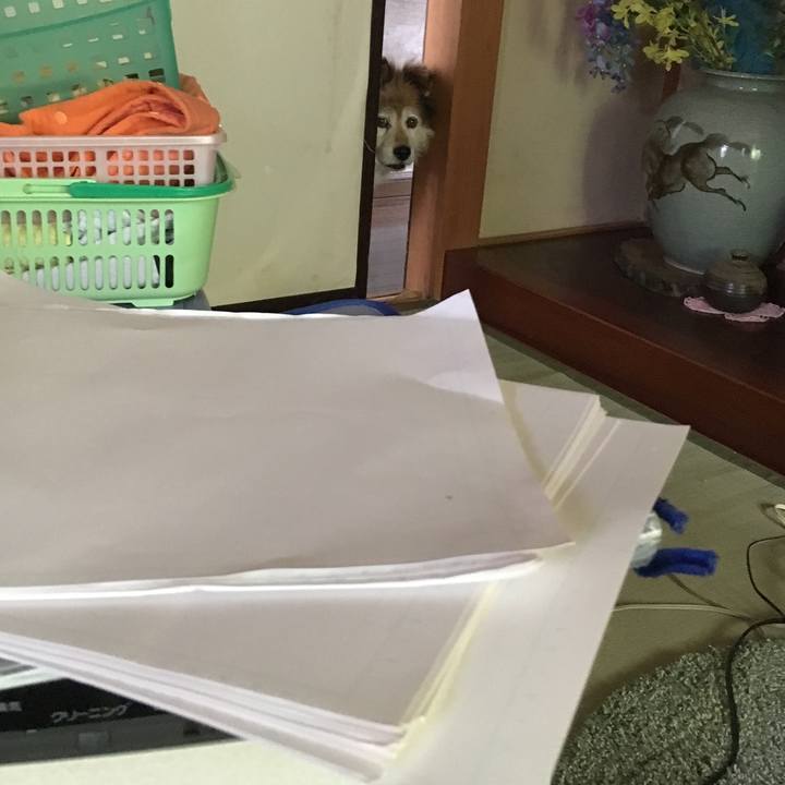 B68838af 4633 42f3 867a 0d096b00c6a7 1594344257208