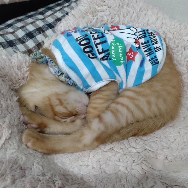 B6887f9d 70b0 4fc7 b98d 363d254609f3 1670545776060