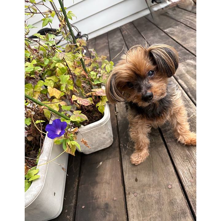 B688856b 76df 489b 93b3 e91706d8cdf5 1760391806293