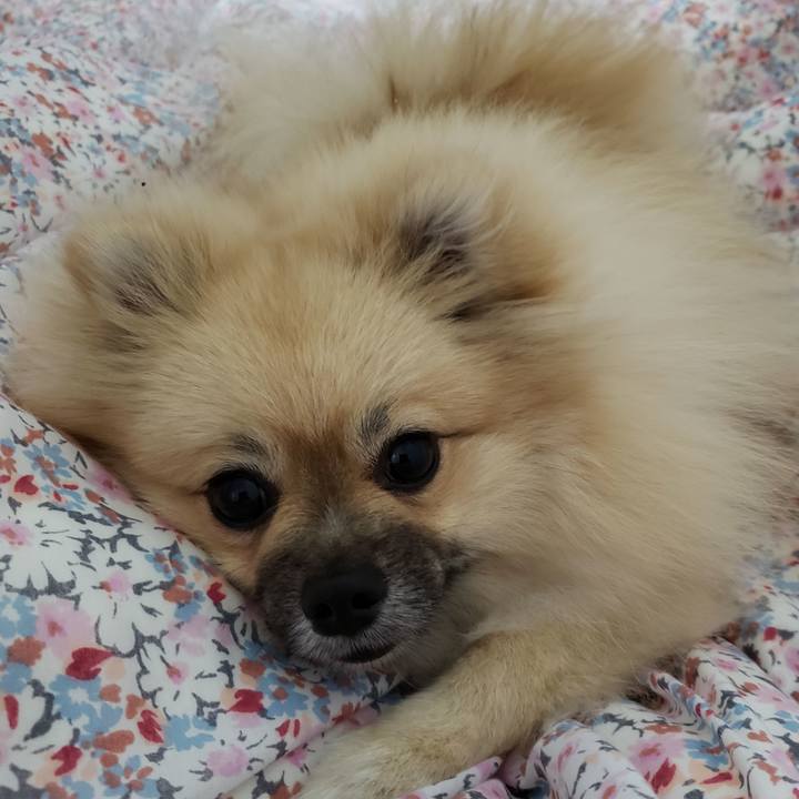 B6889a62 d686 4213 9764 2d65a61cb20f 1638621878464