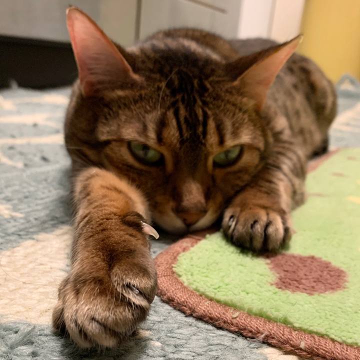 B688c5c4 2b09 4121 81ed 837b317cd17b 1584055837090