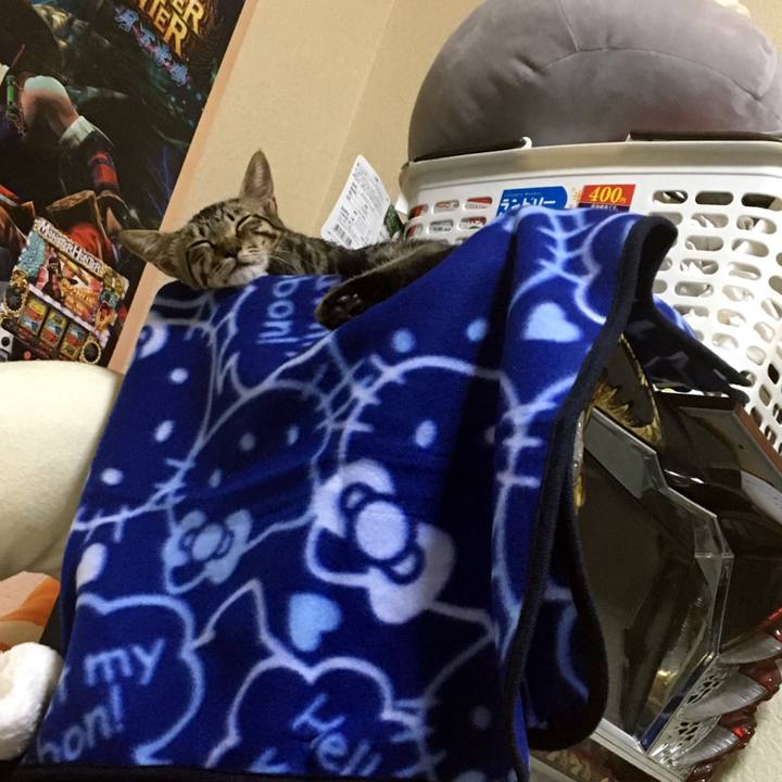 B688dd39 224b 4ff7 90be 6ffcb8aaa8b3 1538228266728