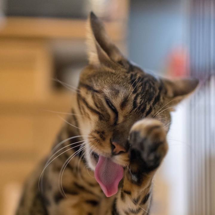 B689025d 14c6 4a50 9d79 d6cc8cef97c6 1517817510587