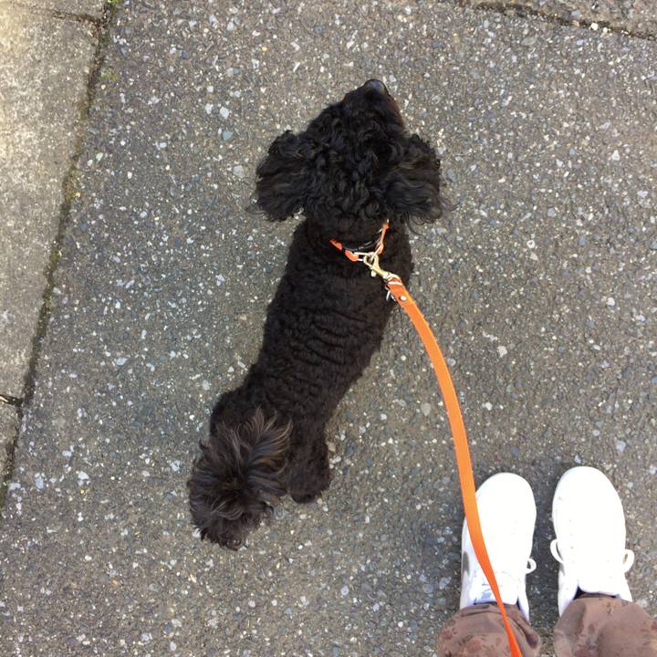 B6893b41 6efc 4b31 9cf0 668d366b30b1 1509944273117