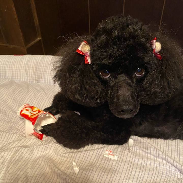 B689449c 6785 4ef4 9090 a3b83eec3530 1625145178678