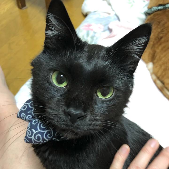 B6896724 5702 4199 97be c37502c134d6 1579986097744