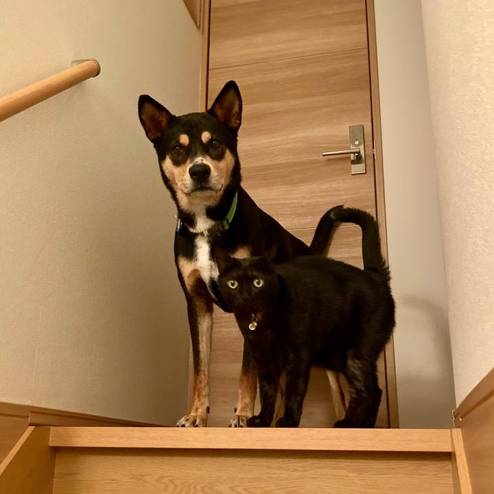 B6899921 ff27 44b2 9a54 13b35fa99114 1633392958498