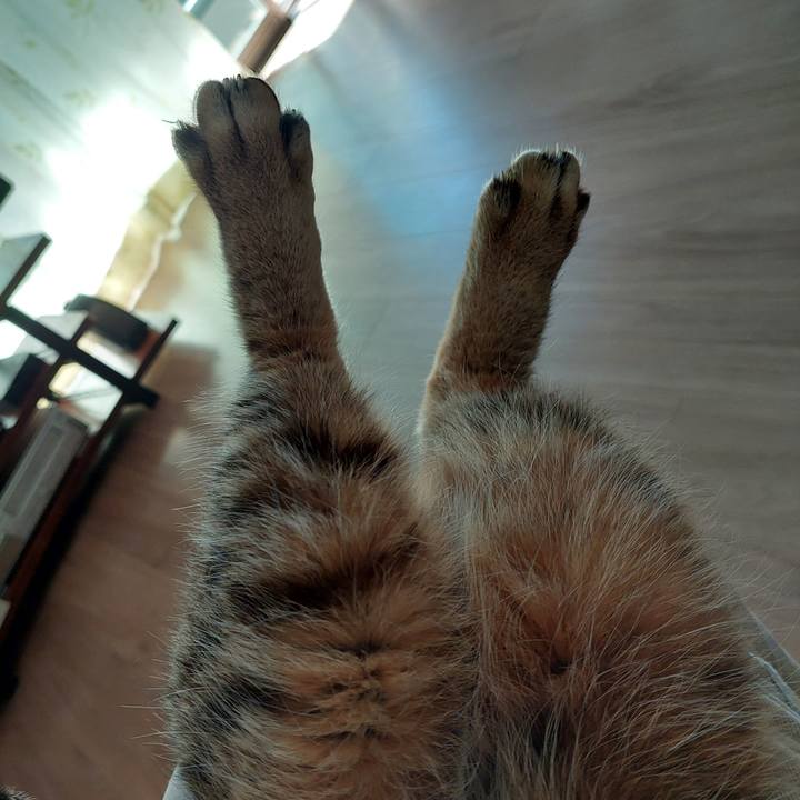 B6899f70 43b5 476b 9b72 9d9d6408c9e4 1741311131727