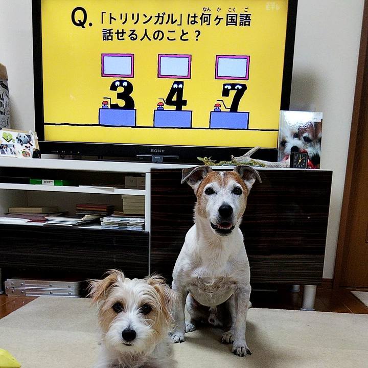 B689af33 dd21 4172 a0cc 43510cc20550 1570053923403