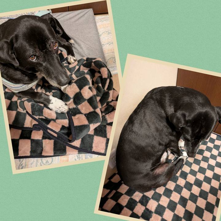 B689e1f4 6ef0 438b ae6c e94213be3066 1735432162693