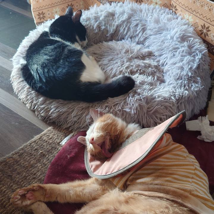 B689ee05 fd48 4ed5 a55f 4677f017ebeb 1761801667016