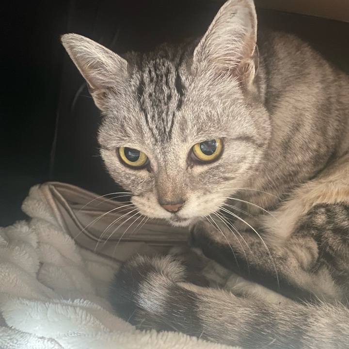 B689f3a3 8e81 4774 a39e b4bef2ef88c1 1743907362680