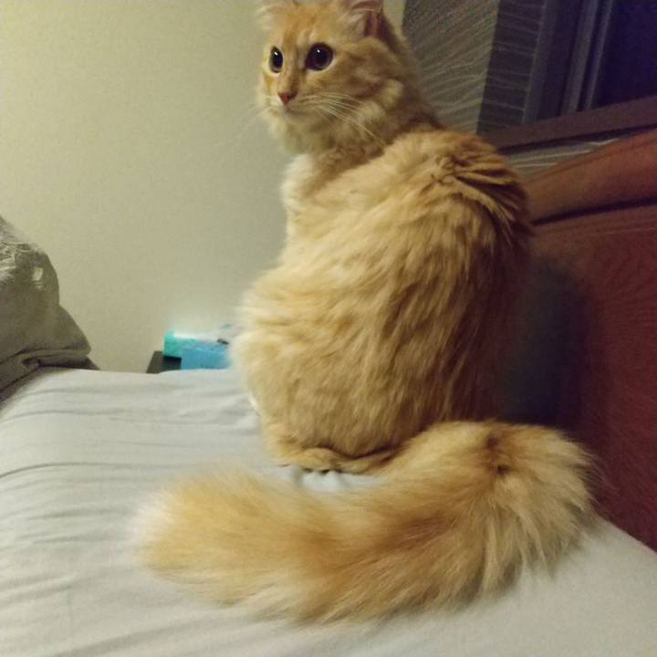 B68a081e f19d 4d10 b070 7c7bfbac42ff 1634821327051