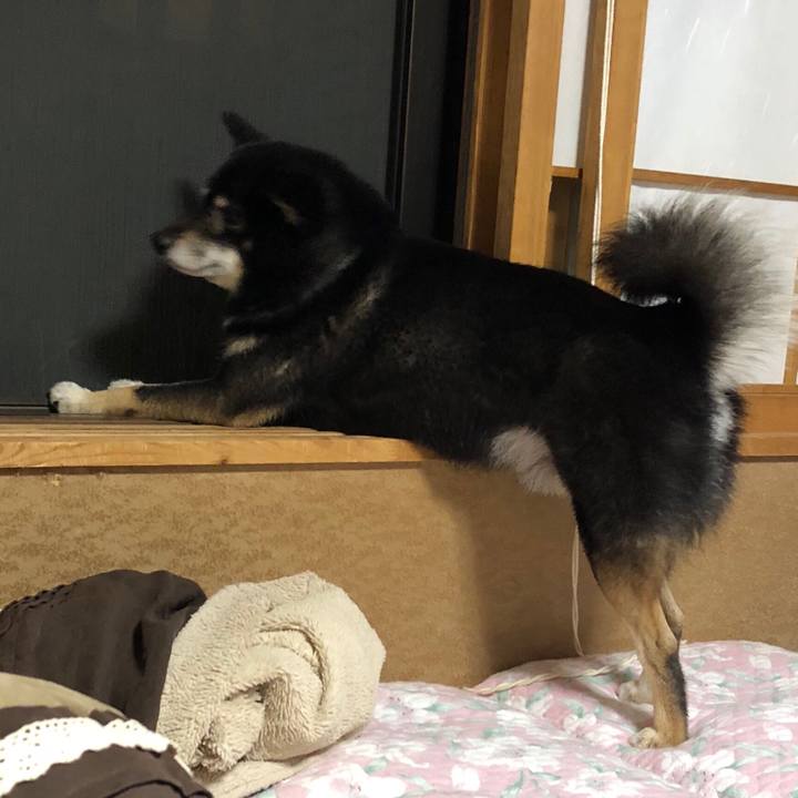 B68a1f9a 3e89 4da2 b518 efc92c58bee8 1535278628734