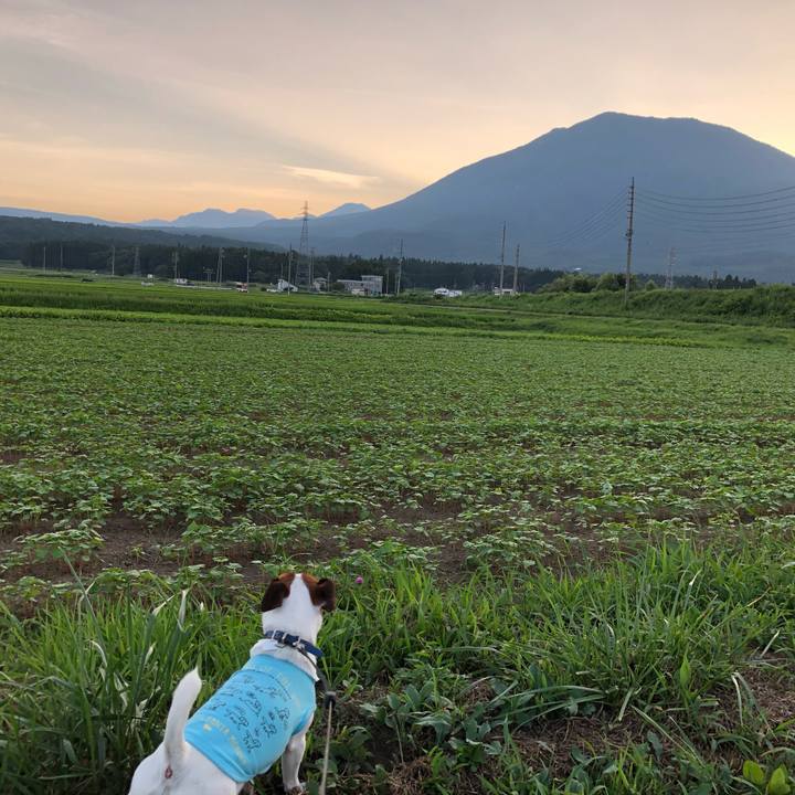 B68a55b0 c5e8 4df5 b732 d4ca96584e06 1597843363402