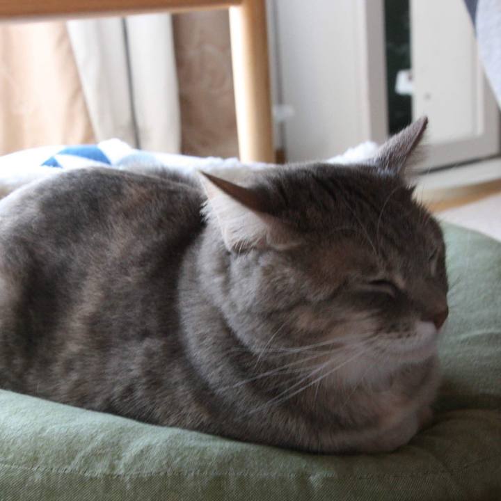 B68aa74a 3b01 45ee bea0 ca0b3deb5a81 1541289780443