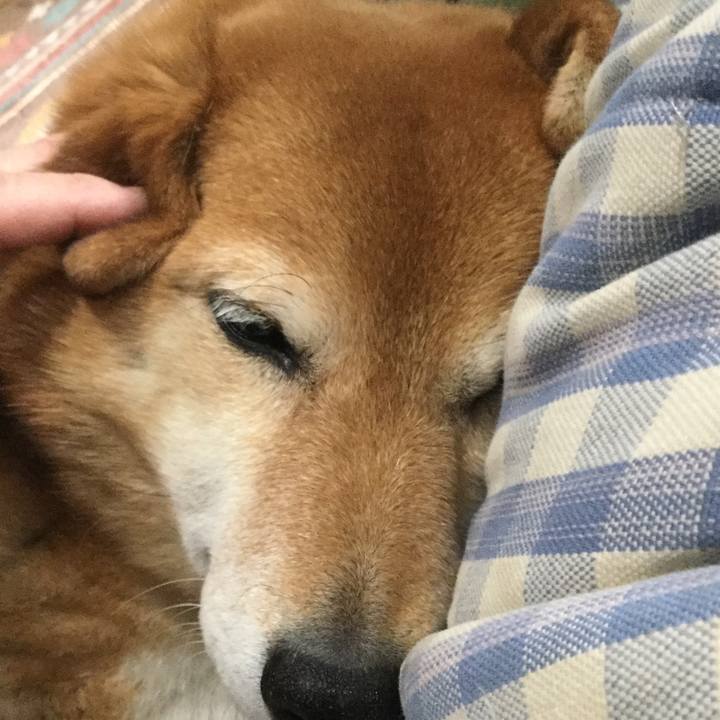 B68ac32a 9f4e 4c12 b779 6aae6ad11a95 1555808800882