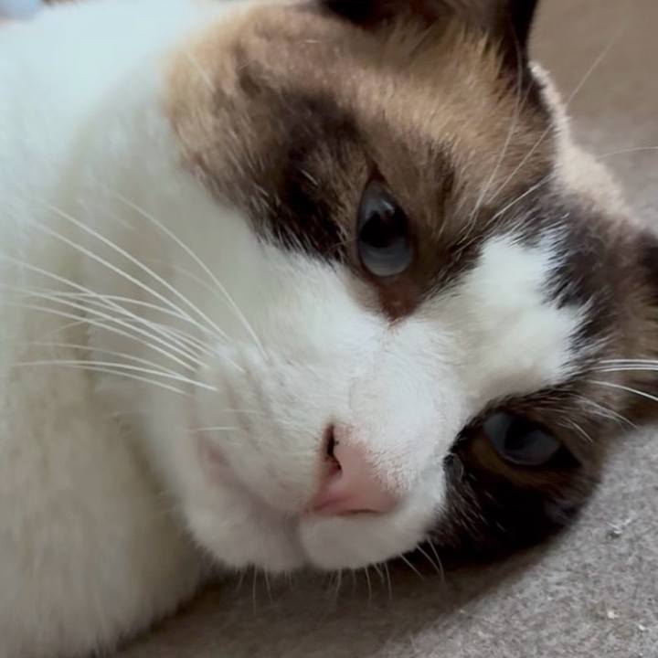 B68b14ca 8fd2 4030 a7c4 8f93808da53d 1755519241461