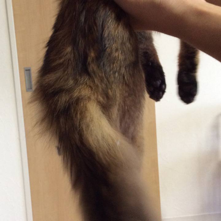 B68b5325 3702 4467 b227 b580ebc59eb7 1564563907572