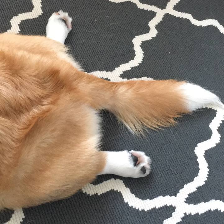 B68b6723 3464 45b8 a068 51eac34c3c6c 1570156899682