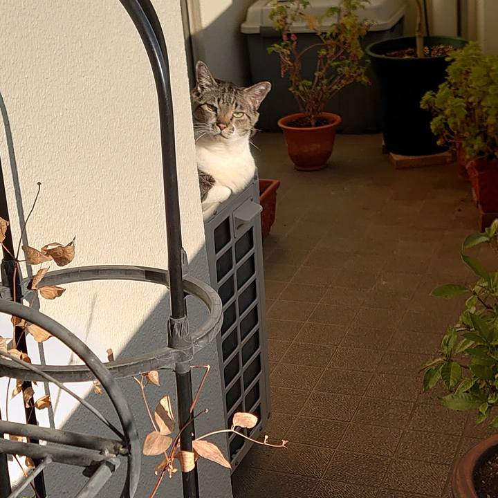 B68b878c cdf1 40fa b12d 959980ff5e01 1644197973112