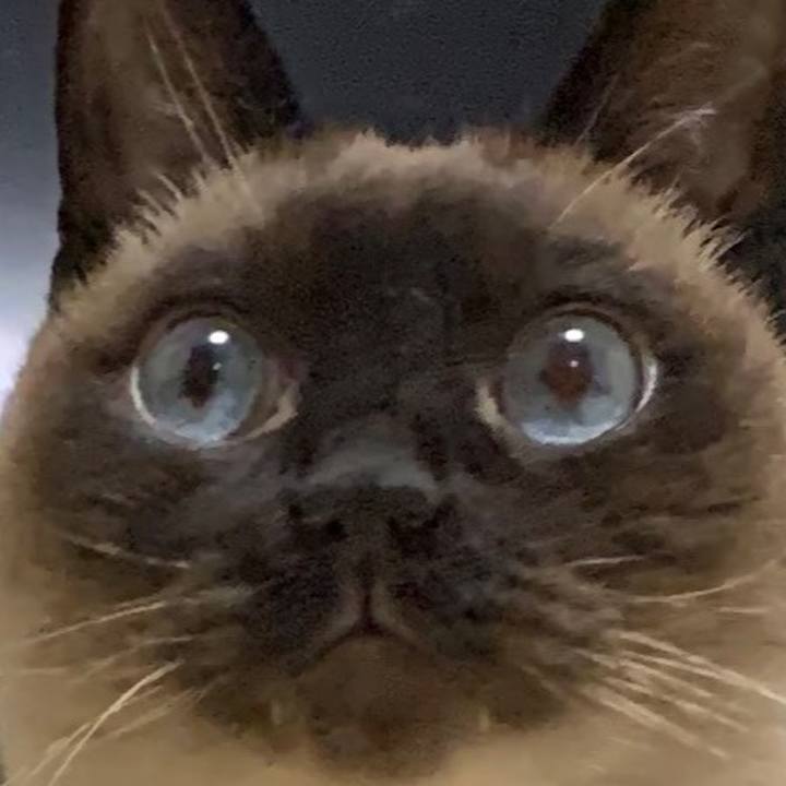 B68b87a7 f4cf 4830 9898 7aa2f9d8f36a 1624665457876