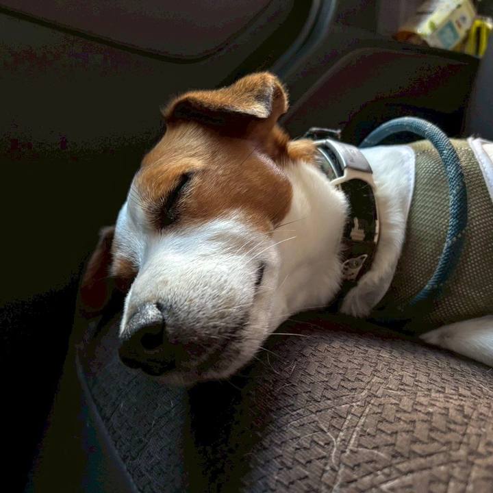 B68b9d88 c05d 48b9 aa00 df29ec454394 1750116505726