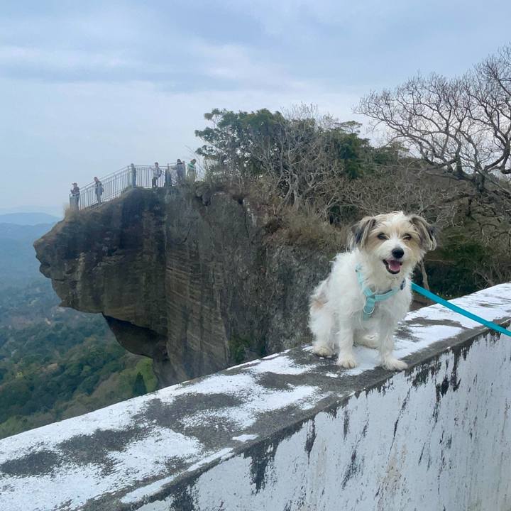 B68bab19 1344 49ff a01c 3a90dfda61c7 1774866260387