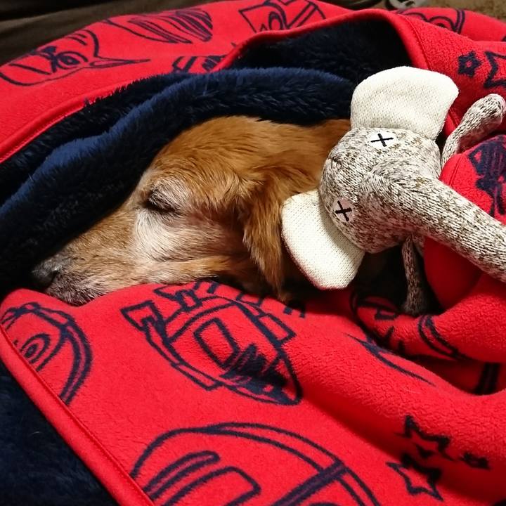 B68bbffb 7356 485e aa6c 1363fe7dc37b 1512841001405