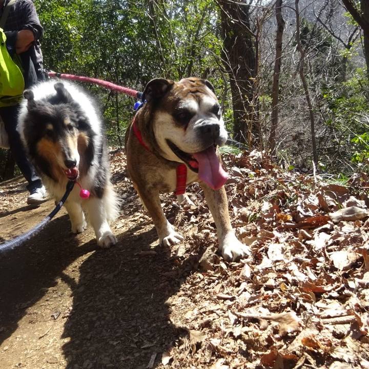 B68bcb0a ebd1 4c37 bbae a7d75b9522ad 1583497601610