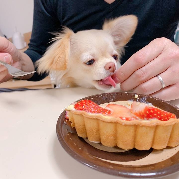 B68c04d3 e4ee 49be 81af 0465b2a0f3e2 1615730364040