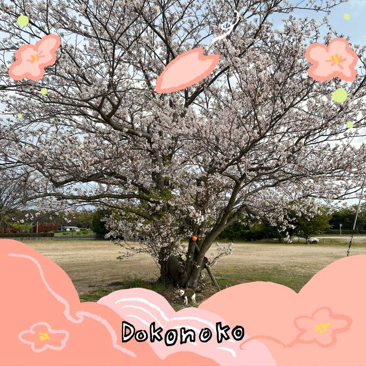 B68c0e8c 4e41 4ee7 a1b8 4f898ba7ba20 1775377775838