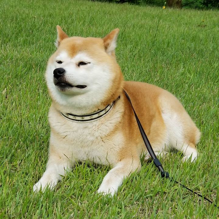 B68c2249 fd12 4bcd aaa2 40b9b91f70eb 1592294050584