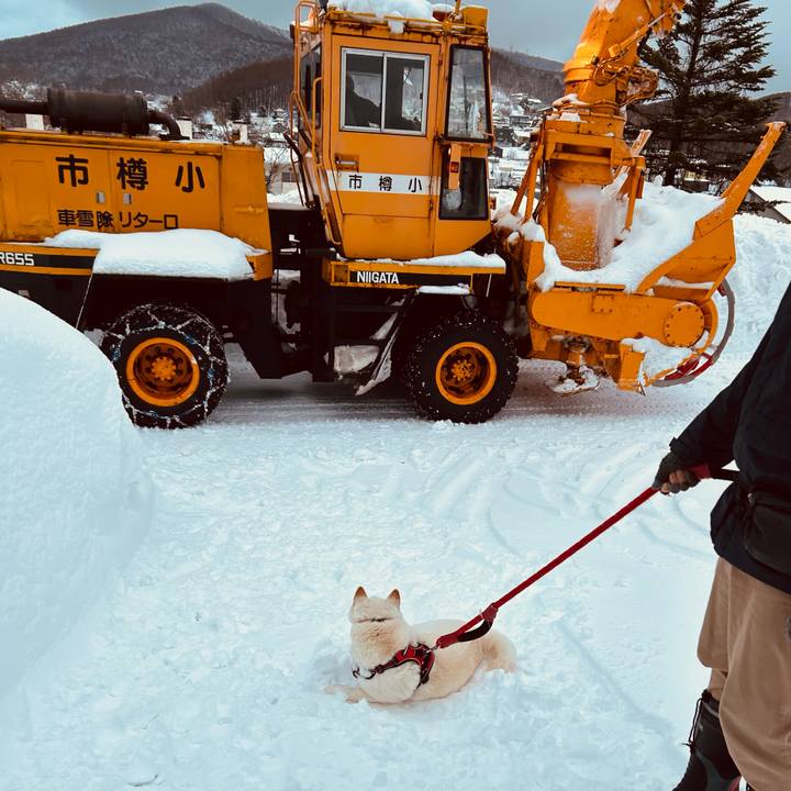 B68c48df 7507 43e0 a19d 441e291bbe4c 1706308282557