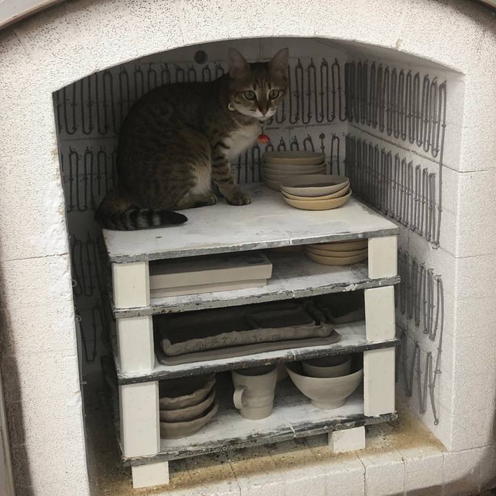 B68c51d8 19e3 48e9 b66d a4050f54eafd 1625747403915