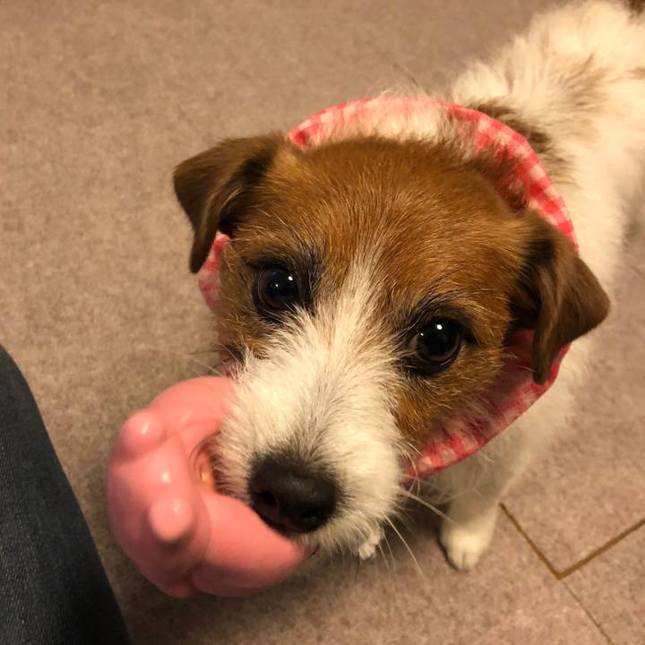 B68c9848 7067 4076 a989 916c670927a6 1584953797087