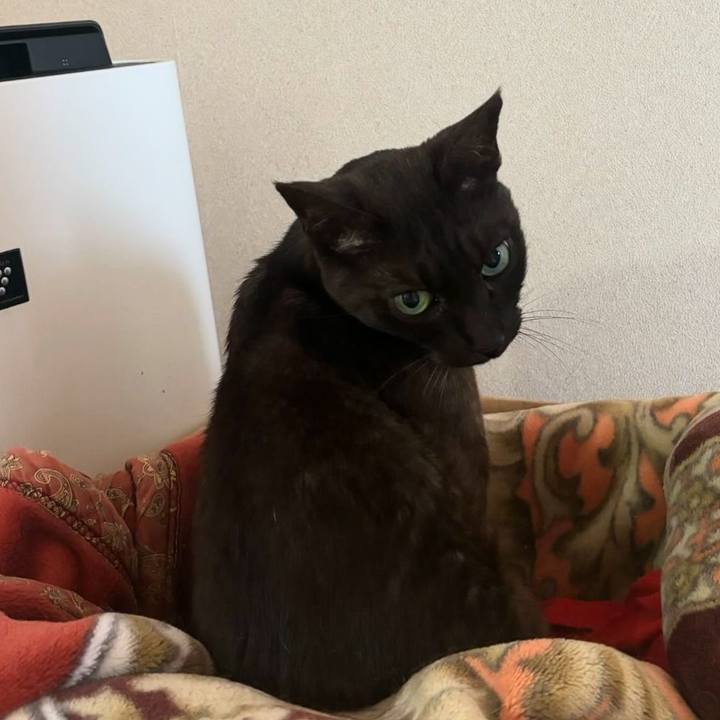 B68cbe1c 3a5b 49e3 933e d7cbdac9bcad 1715852045814