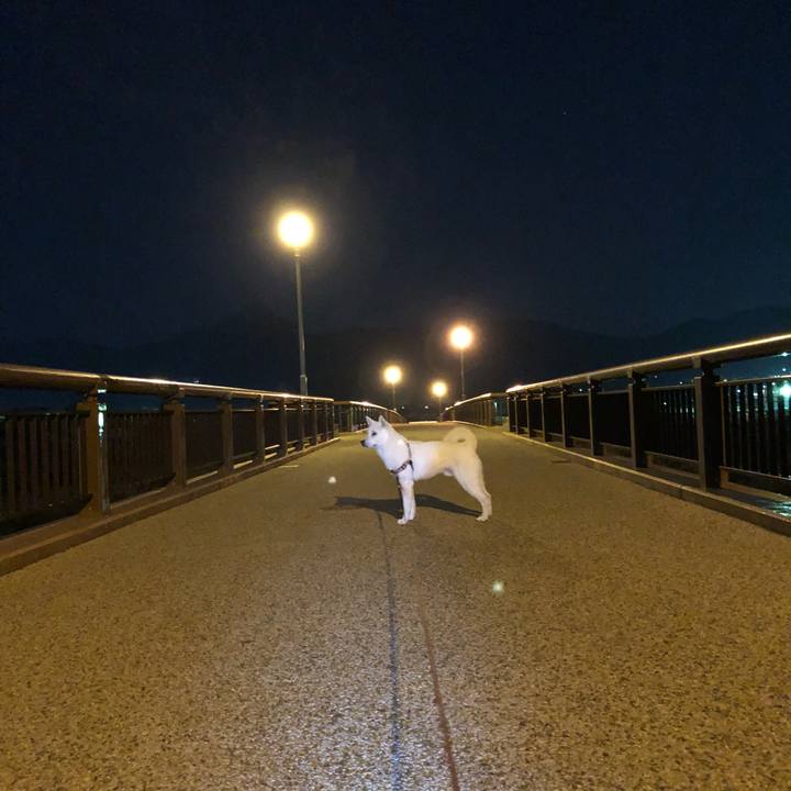 B68cdc11 4461 47c0 ba55 139b27458c31 1525694799602