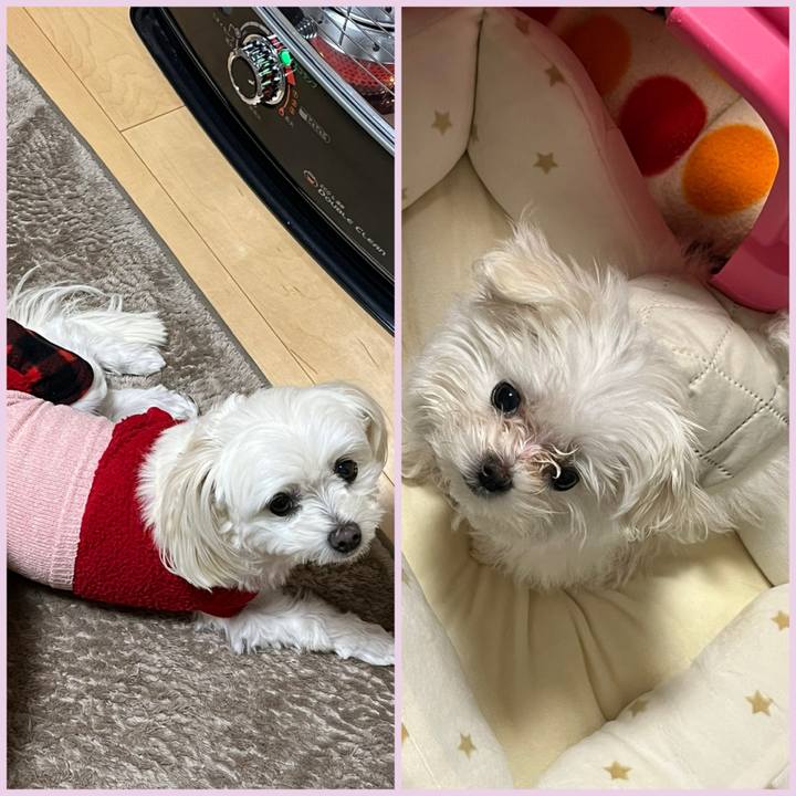 B68ce93b 60c6 40a3 9cc9 7226c44f982f 1703325529741