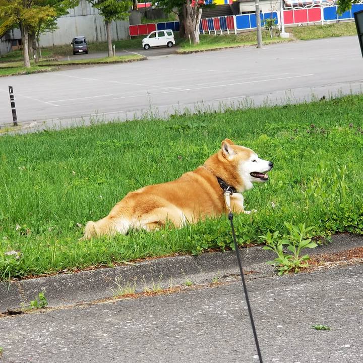 B68d24f6 c300 4b07 8c4b f23796785ac5 1652336984826