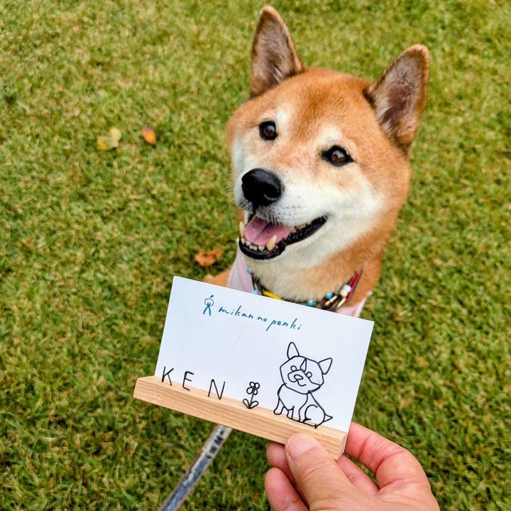 B68d555a 9416 404f 98c0 26c45e94e2a3 1759721107505