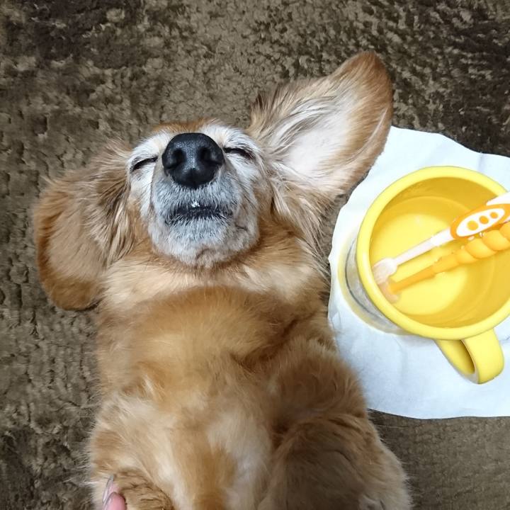 B68d5bef a436 4186 a323 fc0c2db848be 1533605929636