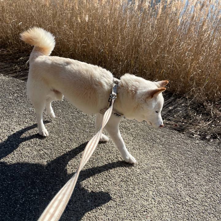 B68d7807 30e8 4d90 b79f 0d7d9d6aff1a 1641540290118